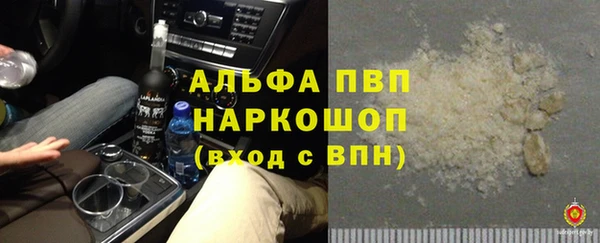 стаф Абаза