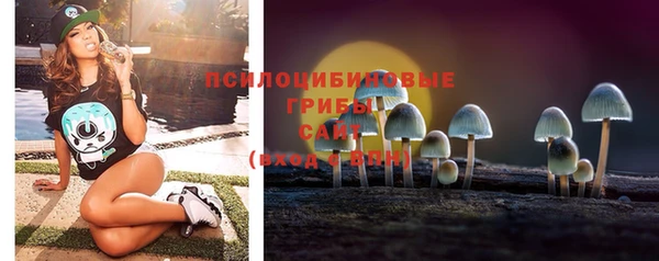 стаф Абаза