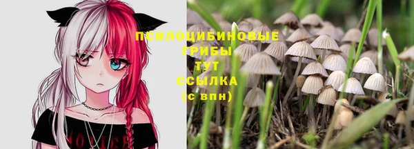 стаф Абаза